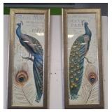 PR PEACOCK FRAMED PRINTS