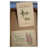 VINTAGE PHOTO BOOKLETS