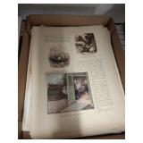 VINTAGE FRENCH PRINTS UNFRAMED