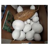BOTTLE GOURDS AND BOOKS