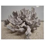 PC OF CORAL DECOR