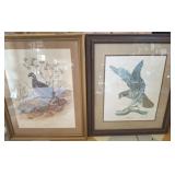 2 PC BIRD FRAMED PRINTS