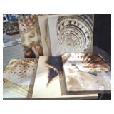 GROUP OF SMALL FRAMED PRINTS ON CANVASES