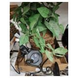 IVY, CANDLE HOLDER AND SPOT LIGHT