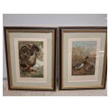 2 PC FRAMED AND MATTED BIRD PRINTS 10X12
