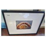 FRAMED JELLY BALL PHOTO