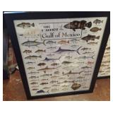 GULF OF MEXICO FISH PUZZLE 18X24