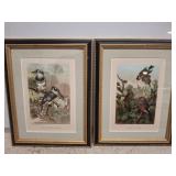 2 PC FRAMED AND MATTED BIRD PRINTS 10X12