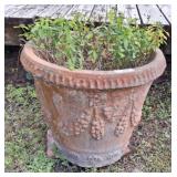 CONCRETE PLANTER 22 X 20