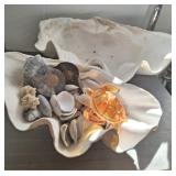 SHELL THEMED FRUIT BOWLS, AND FOSSILS
