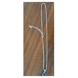 SILVERTONE NECKLACE AND CHARM