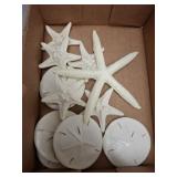 SAND DOLLARS AND STAR FISH PLASTIC DECORATIONS