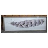 FRAMED SHADOW STYLE FEATHER PRINT