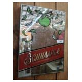 MIRRORED SCHNAAPLE ADVERTISMENT