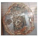 GEODE CROSS SECTION 14IN