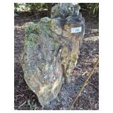 PETRIFIED WOOD 30 INCH