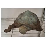 CAST TURTLE STATUE 13 INCH LONG
