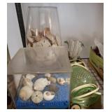 VASES AND SHELL DECOR