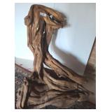 LARGE DRIFTWOOD Dï¿½COR