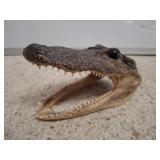 FAUX ALLIGATOR HEAD