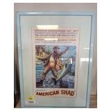 AMERICAN SHAD FRAMED POSTER
