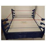 WRESTLING RING 14X14