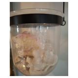 HANGING VASE WITH SHELL DECOR