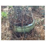 TERRACOTTA PLANTER 18X12