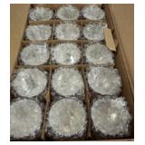 CASE OF GOLD VOTIVE HOLDERS