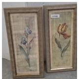 PR PRINTS-IRIS, TULIP    11X25