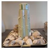 ASSORTED SEA SHELLS AND DCOR