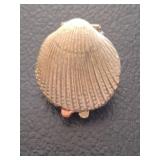 GOLD TONE OYSTER SHELL COMPACT