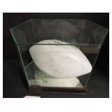 CAM NEWTON AUTOGRAPHED FOOTBALL