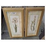 AMARYLLIS AND TUBEROSE PRINTS