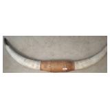 LEATHER WRAPPED LONGHORNS 72IN