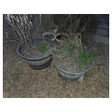 Two Plastic Half-Barrel Planters With Plants