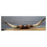LONGHORN
