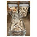 Four Glass Jars with Assorted Seashells