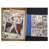 MLB COLLECTOR CARDS