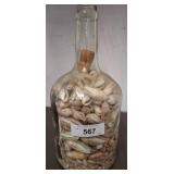 Glass Bottle Filled With Assorted Sea Shells