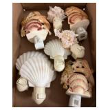 Shell-Themed Night Lights