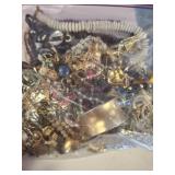 Costume Jewelry in Zipper Bag
