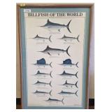 Framed Print: ï¿½Billfish of the Worldï¿½