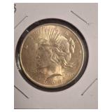 1923 Peace Silver Dollar Coin in Holder