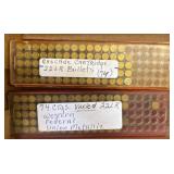 Two Boxes of .22 LR Ammunition