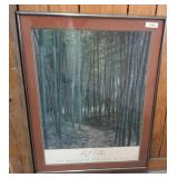Framed Eliot Porter Bamboo Forest Print w5
