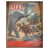 Life Magazine, October 19, 1953 Issue