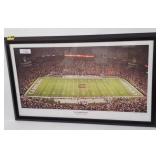 Framed South Carolina Gamecocks Stadium Print