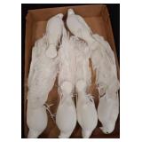 Faux Doves with Feathered Tails