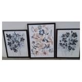 Three Framed Botanical Prints